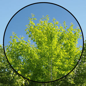 Lens Filters & Holders