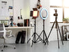 Lighting Clearance