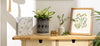 Shop Kenro and Kusso Living Collections