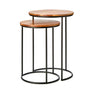 Acacia Nesting Tables (Set of 2)