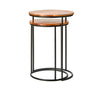 Acacia Nesting Tables (Set of 2)