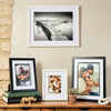 Ambassador Collection Photo Frames