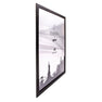 Tundra  Black Poster Frames