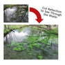 DHG Lens Protect Filters