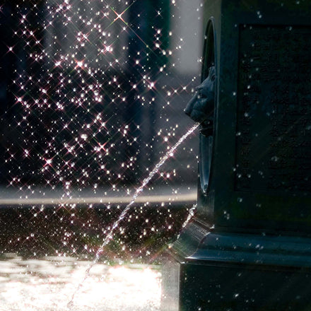 DHG StarCross Filters