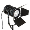 NanGuang 100W LED Fresnel Light