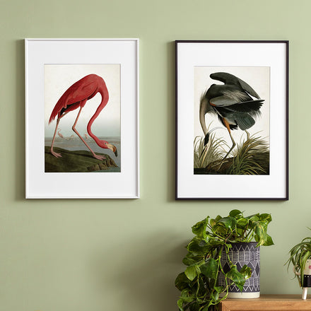 Signature Classic Series Photo Frames