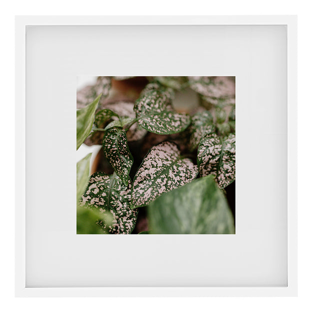 Strata Series Photo Frames (White)