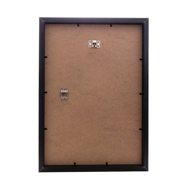 Chester Series Poster Frames