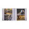 Dinosaur Series Baby Photo Albums
