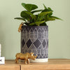 Blue Ceramic Plant Pot