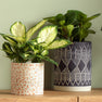 Blue Ceramic Plant Pot